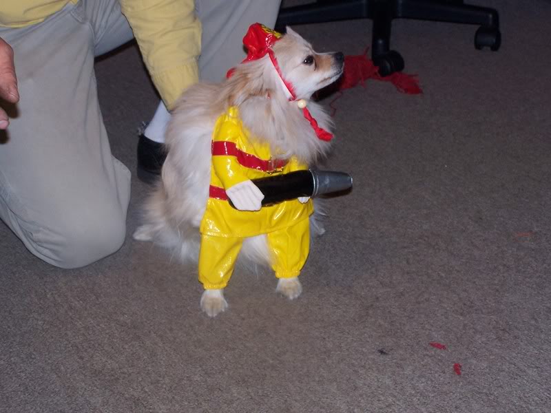 100_4232.jpg