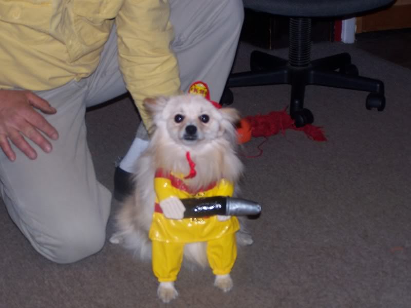 100_4233.jpg
