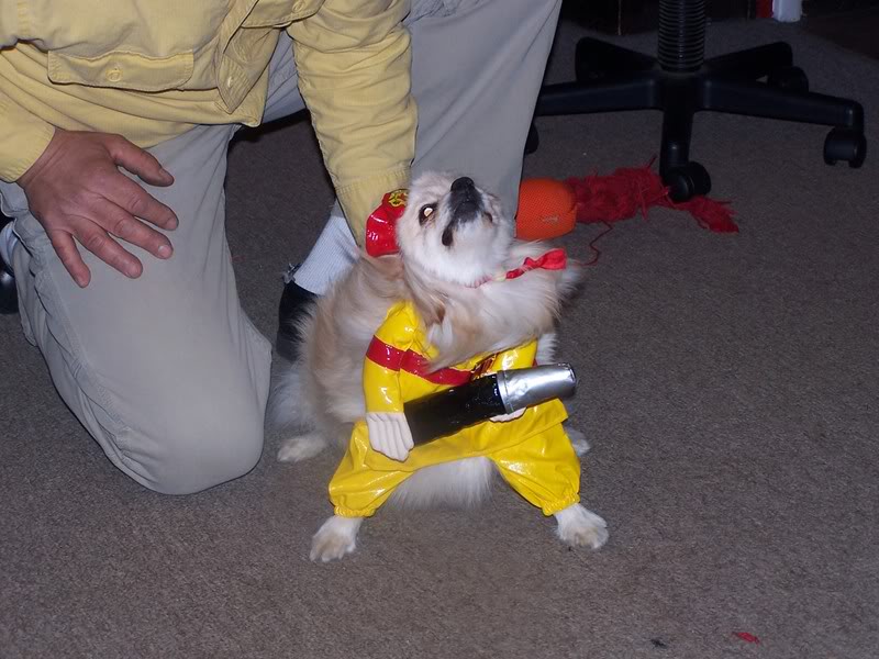 100_4234.jpg