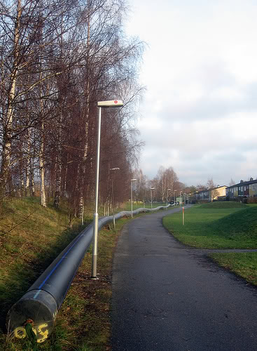 317106303_8459efdf5b.jpg