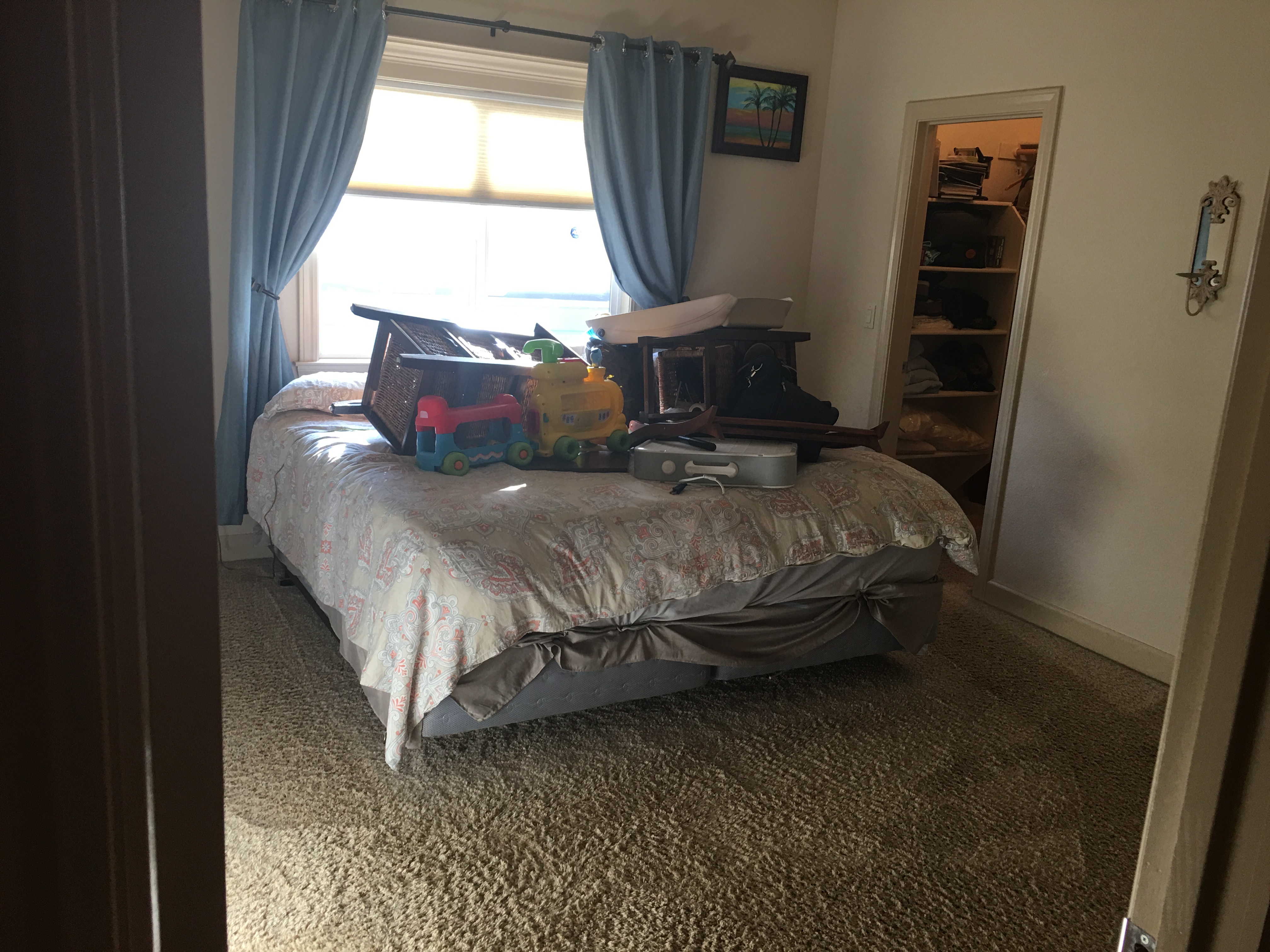 ACD06ED6-4B21-40A4-B3F8-250772C1B728.jpeg