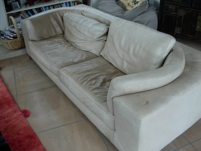 DSCN3204.jpg
