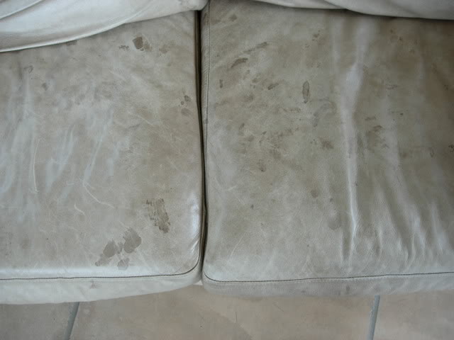 DSCN3205.jpg