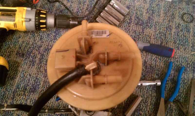IMAG0559.jpg