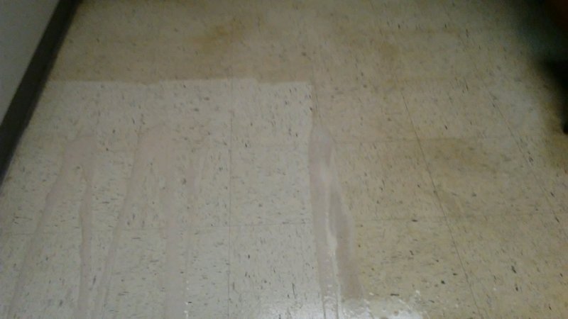 IMG_1934.JPG