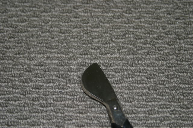 IMG_3906.jpg