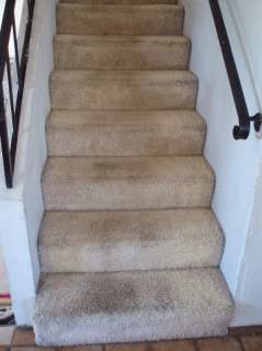 molddump004.jpg