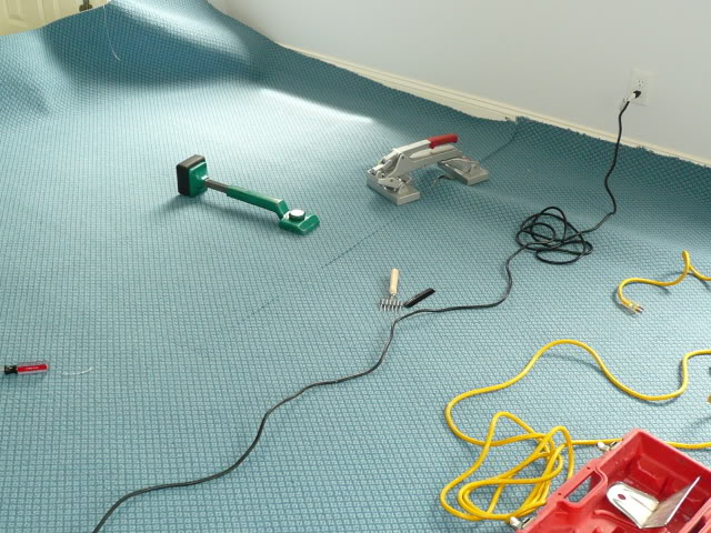 P1020240.jpg