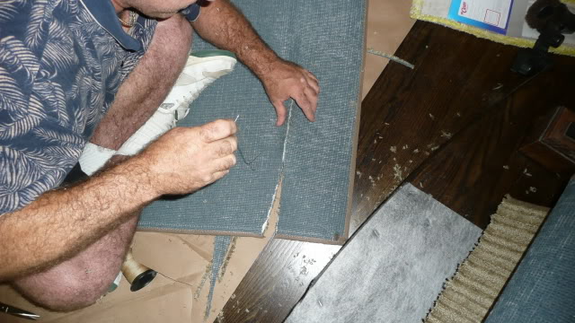 P1020303_640x480_1.jpg