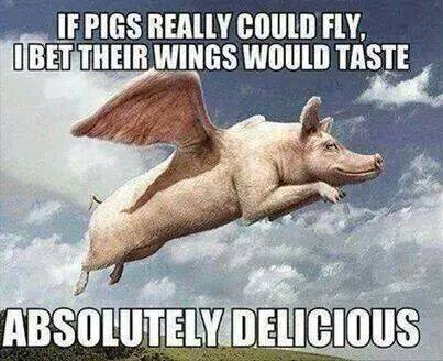 Pigsfly_zps2532f653.jpg