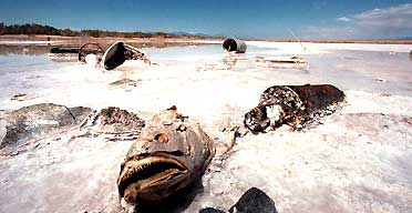 pollution1.jpg