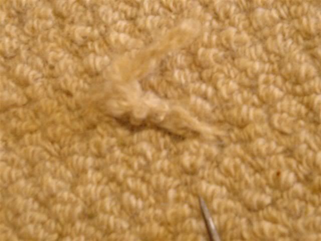 pullincarpet.jpg