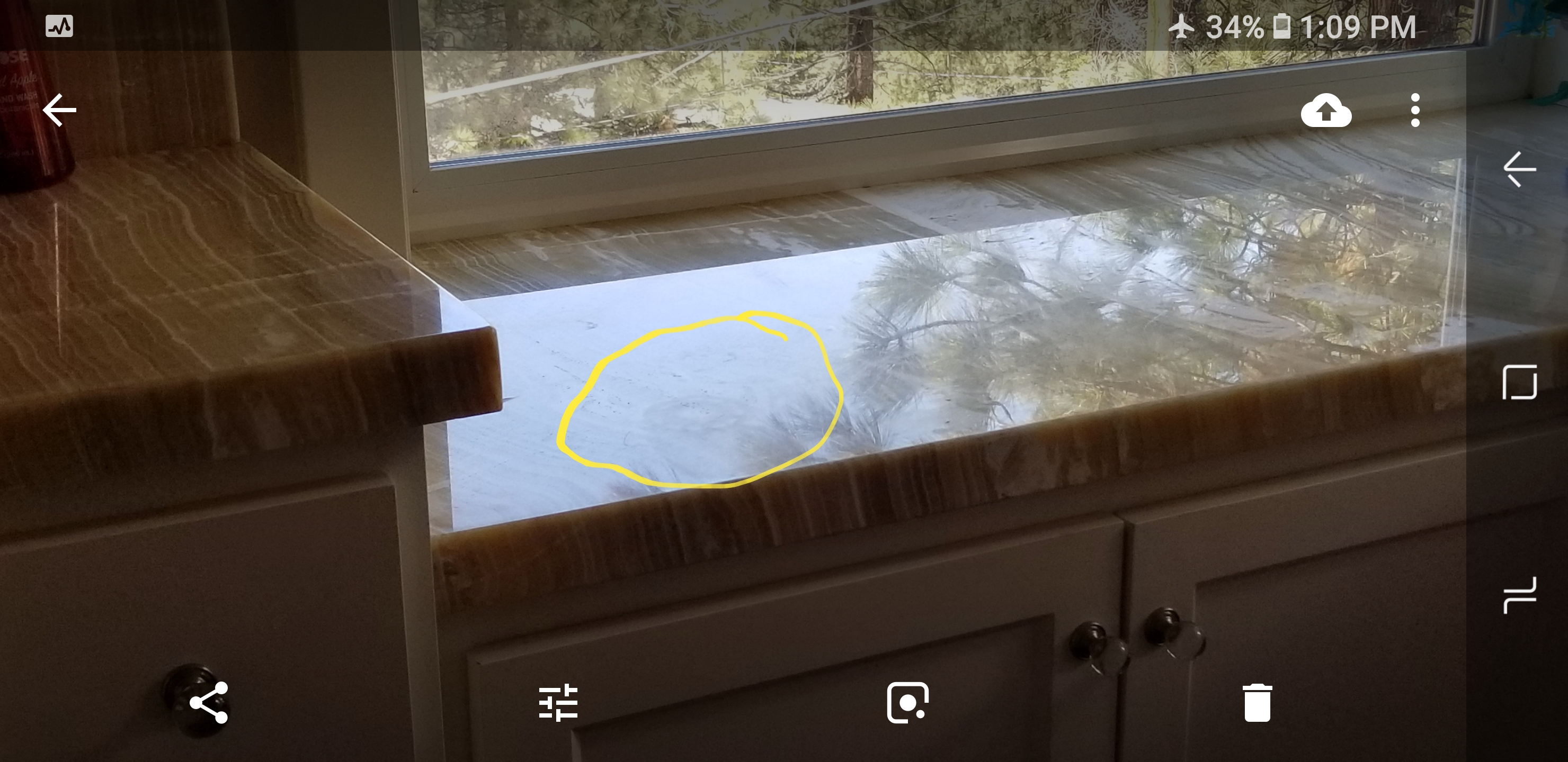 Screenshot_20180514-130910_Photos.jpg