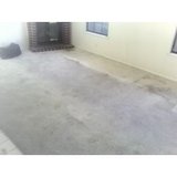 th_zcarpet.jpg