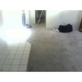 th_zcarpet3.jpg