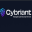 cybriant.com